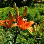 使用ng导航优化信息架构的实用指南 1y50sgj6