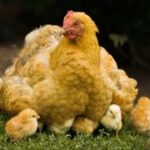 南宫问鼎娱乐:如何打造一场成功的综艺节目 28ffuw30