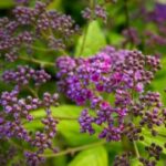 pg问鼎:如何看待电竞行业的未来发展趋势 2z9km0ry1d