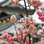 如何利用ng导航提升用户体验和网站流量 35ota2dr