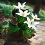 ng导航与信息检索的关系探讨 682zcnbt7